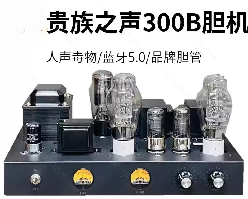 Tube Amplifier 300B Single Ended - 300B جهاز تضخيم الصوت بتقنية الفئة