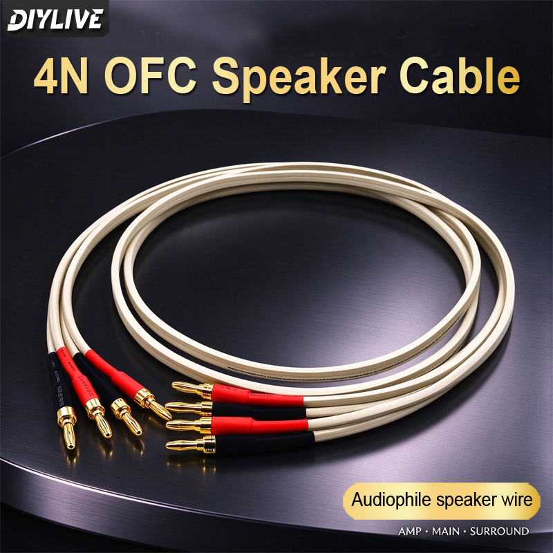 كابل مكبر صوت من النحاس الخالي - مراجعة Tube Headphone Amplifier Otl وسعره